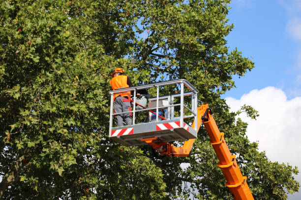 Best Commercial Tree Services  in Simpsonville, SC